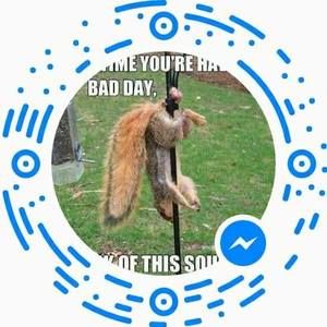 Meet your Posher, Shane